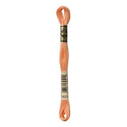 DMC - broderigarn - rk 8 - 3779 - 3866