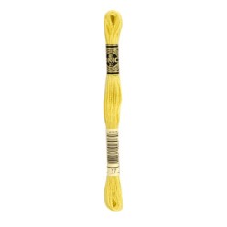 DMC - broderigarn - rk 2 - B 5200 - 161