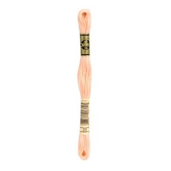DMC - broderigarn - rk 2 - B 5200 - 161