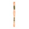 DMC - broderigarn - rk 2 - B 5200 - 161
