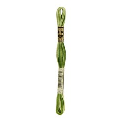 DMC - broderigarn - rk 2 - B 5200 - 161