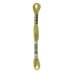 DMC - broderigarn - rk 5 - 732 - 894