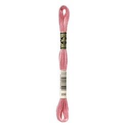 DMC - broderigarn - rk 6 - 895 - 3021