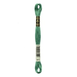 DMC - broderigarn - rk 6 - 895 - 3021