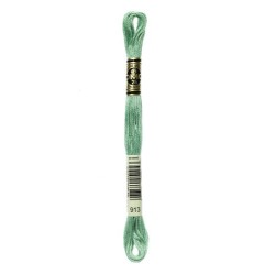 DMC - broderigarn - rk 6 - 895 - 3021