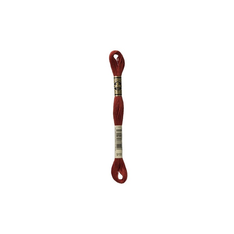 DMC - broderigarn - rk 6 - 895 - 3021