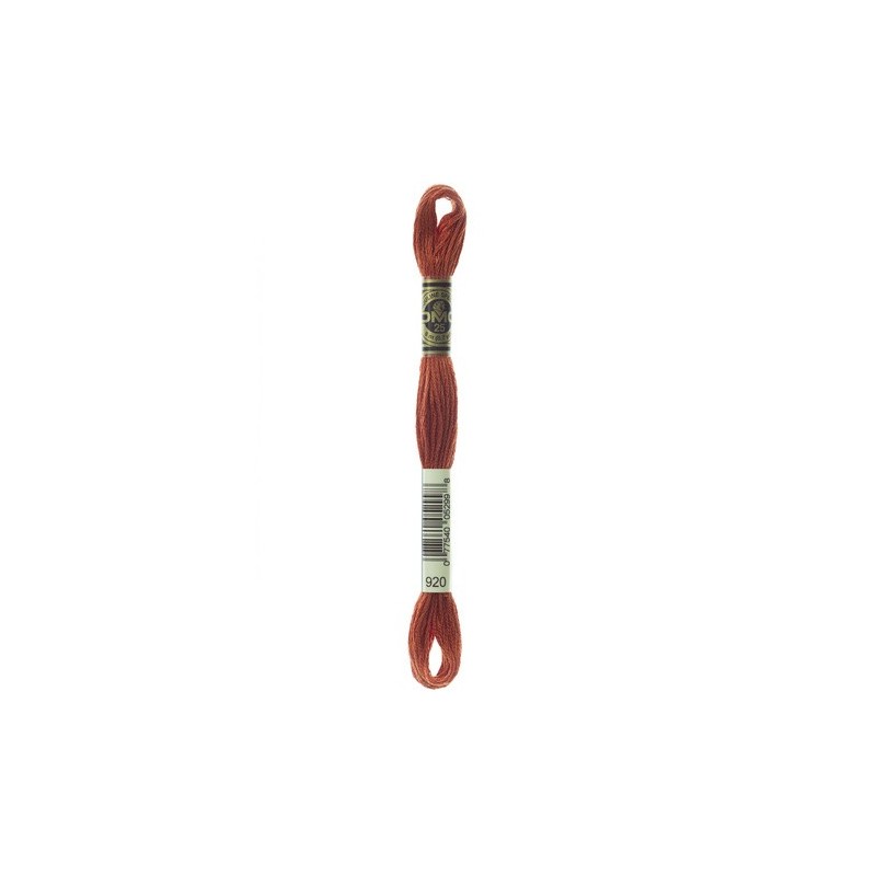 DMC - broderigarn - rk 6 - 895 - 3021