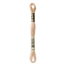 DMC - broderigarn - rk 6 - 895 - 3021