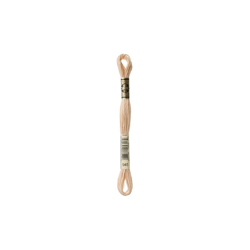 DMC - broderigarn - rk 6 - 895 - 3021