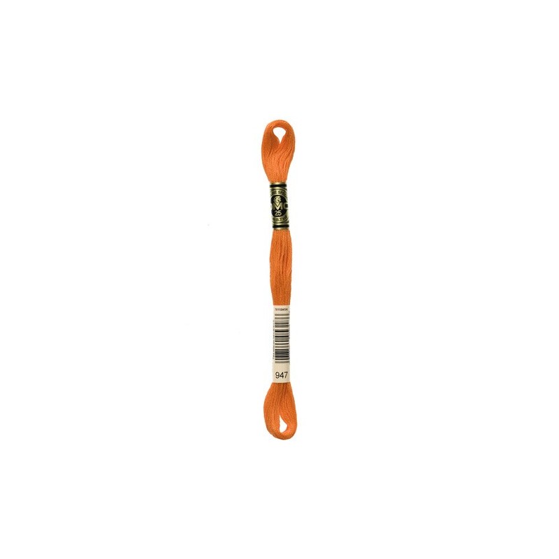 DMC - broderigarn - rk 6 - 895 - 3021