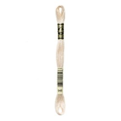 DMC - broderigarn - rk 6 - 895 - 3021