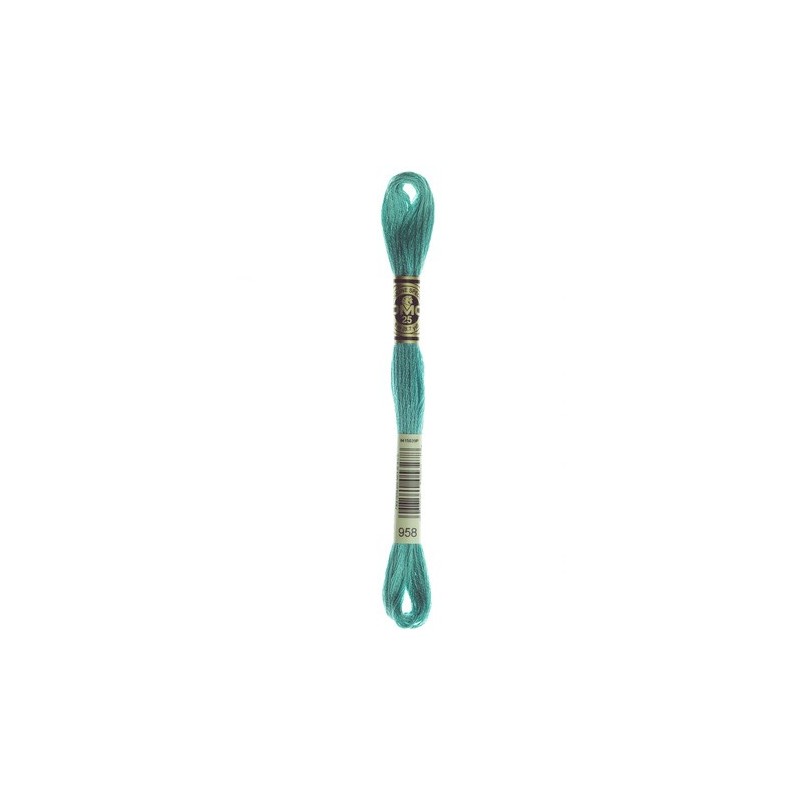 DMC - broderigarn - rk 6 - 895 - 3021