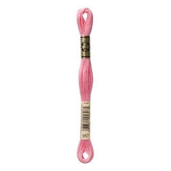 DMC - broderigarn - rk 6 - 895 - 3021