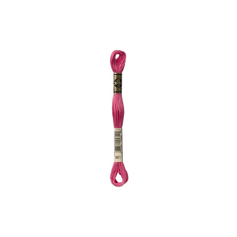 DMC - broderigarn - rk 6 - 895 - 3021