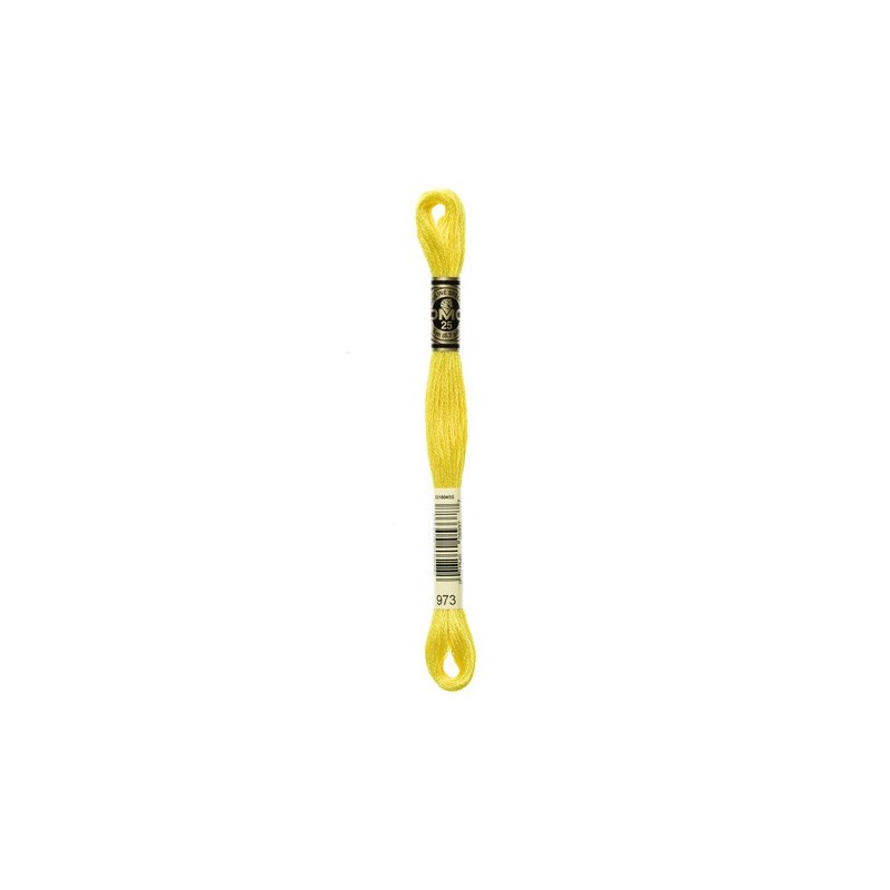 DMC - broderigarn - rk 6 - 895 - 3021