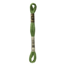 DMC - broderigarn - rk 6 - 895 - 3021