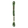 DMC - broderigarn - rk 6 - 895 - 3021
