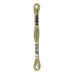 DMC - broderigarn - rk 6 - 895 - 3021
